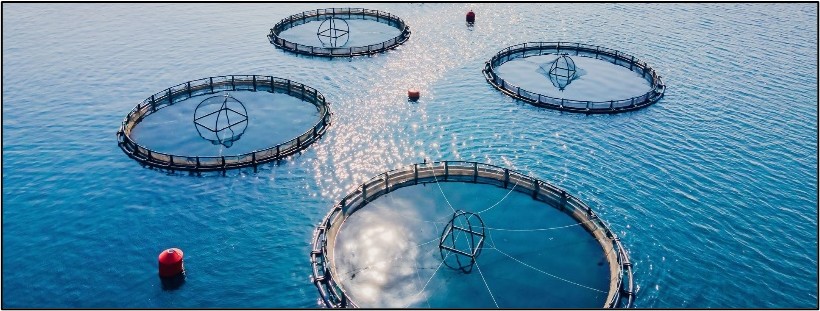 Ännu en order på en AxoPur containeranläggning