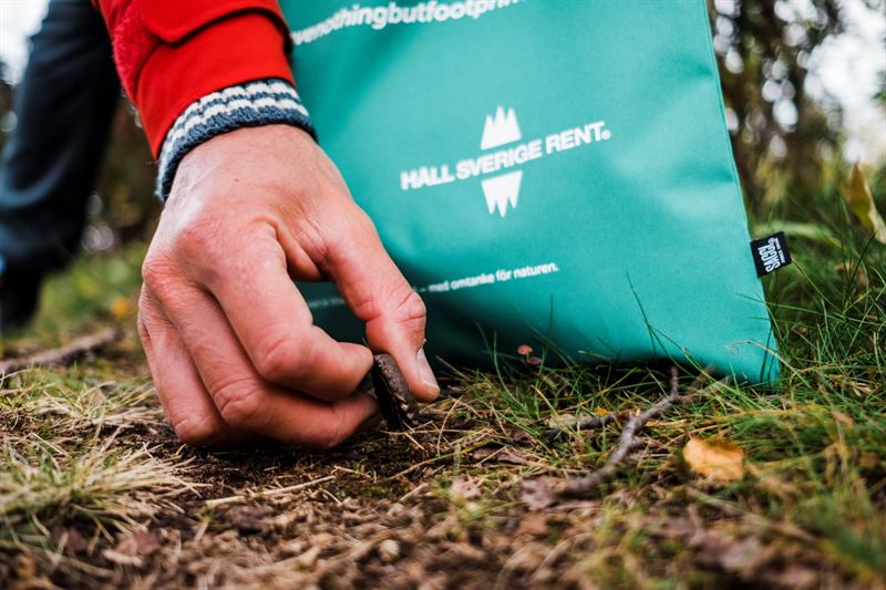 BylineDarren Hamlin  Hll Sverige Rent