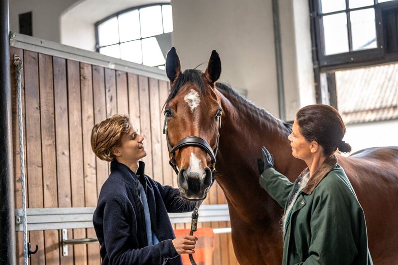 Billedtekst Agrias Forskningsfond har finansieret et helt nyt forskningsprojekt der skal ge hestevelfrden ved at uddanne fremtidige hesteejere og trnere i at forst hestens kognitive evner og individuelle behov Agriadk