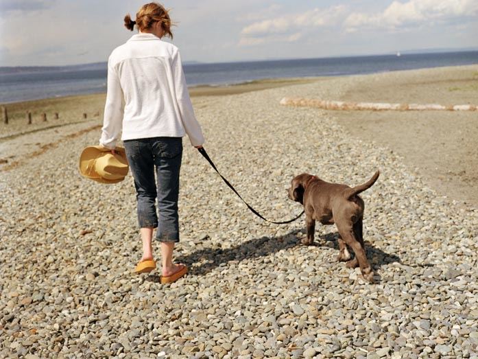 For at passe p ynglefugle og andre dyr er det iflge naturbeskyttelsesloven lovpligtigt at fre hunden i snor p stranden i perioden 1 april til 30 september Agriadk