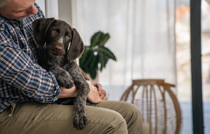 Hunderacer eller raceblandinger der sjldent besger dyrlgen har derfor ofte en lavere forsikringsprmie Det betyder at der kan vre tusindvis af forsikringskroner til forskel om ret imellem de hunde der ofte besger dyrlgen sammenlignet med dem der sjldent har brug for dyrlgebehandling forklarer Lotte Evers marketingchef hos Agria Dyreforsikring Agriadk