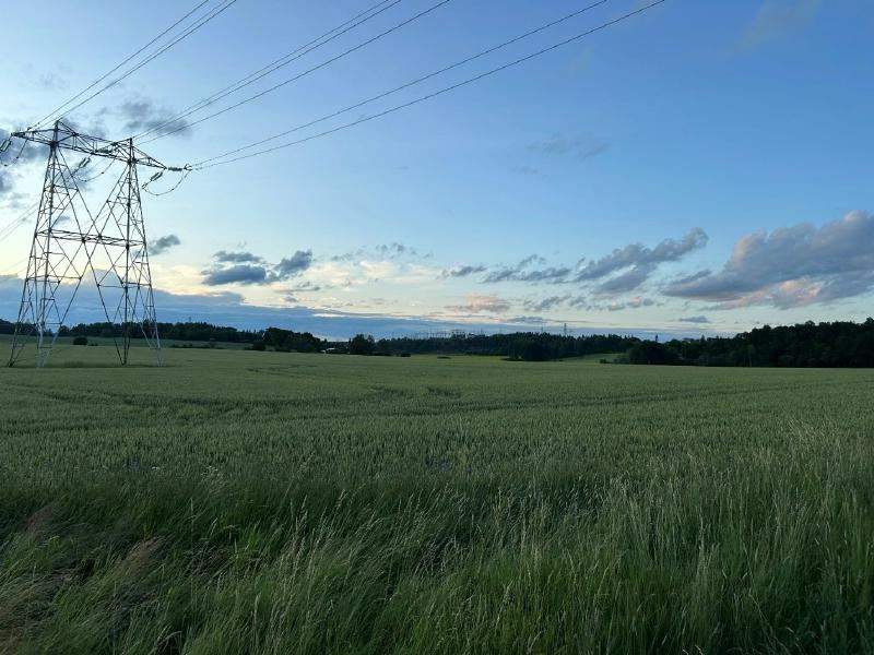 A field of grass with power lines

AI-generated content may be incorrect.