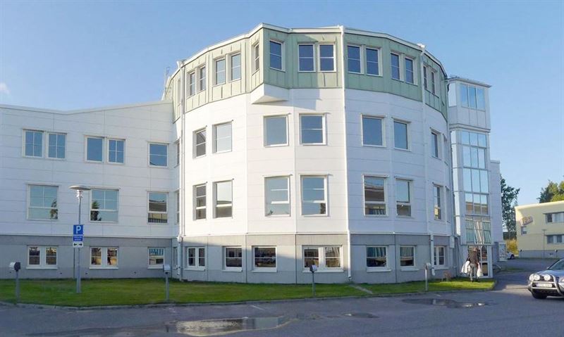 engelska skolan skellefteå