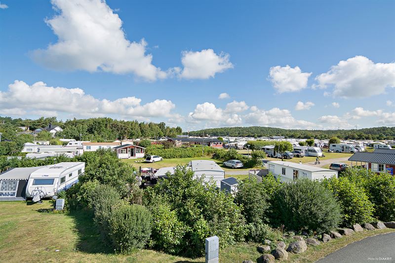 Cykelboom längs Kattegattleden fyller tältplatserna i Kärradal