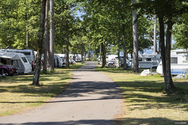 Rekordsommar för svensk camping