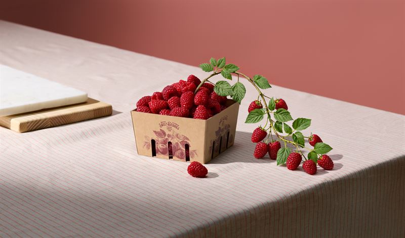 Holmen_Raspberry.jpg