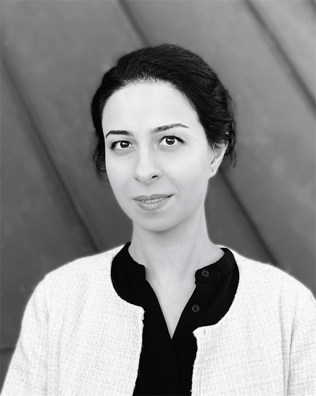 Taraneh Derayati_Vermiculus.png