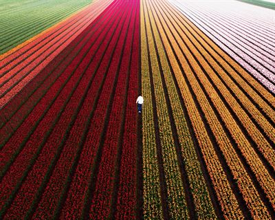 Cinis Fertilizer publishes super senior bond prospectus and applies for listing on Nasdaq Stockholm