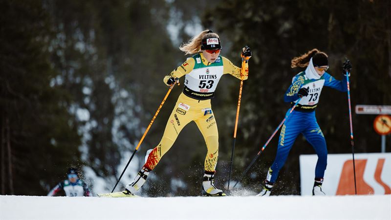 Kuvituskuva verkkosivuille.jpg