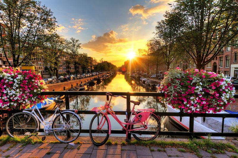 Ticket_Amsterdam_AdobeStock_91108597.jpeg