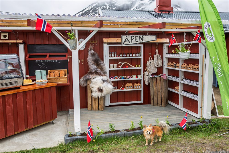 Refsnes Matglede AS 00253 (1).png