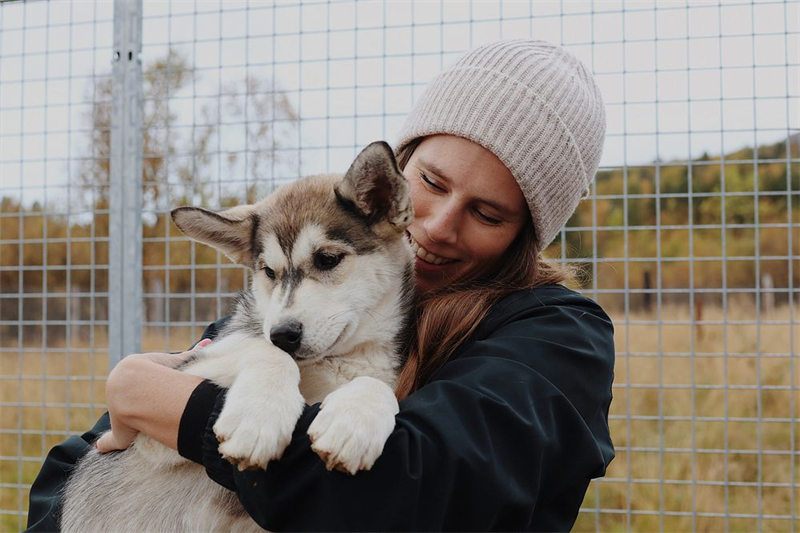 Henriette Danielsen_Mynewsdesk_Pirate Husky81AB9CE4-4F64-48A2-9941-E354F072DEBC.png