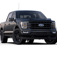 Lariat Sport Black 4