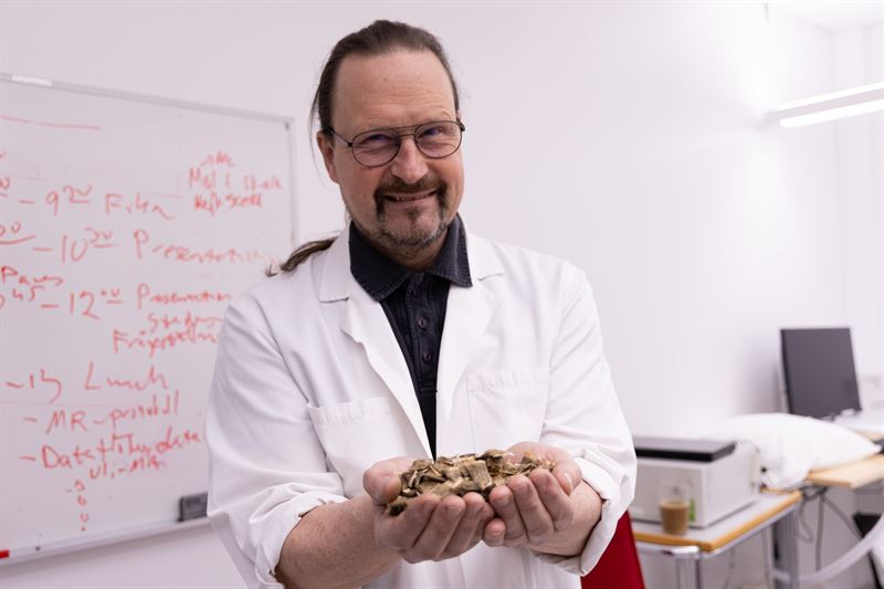Fredrik Nystrm professor vid Linkpings universitet