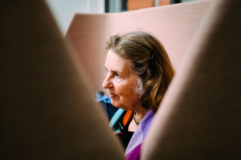 Boel Berner professor emerita Linkpings universitet
