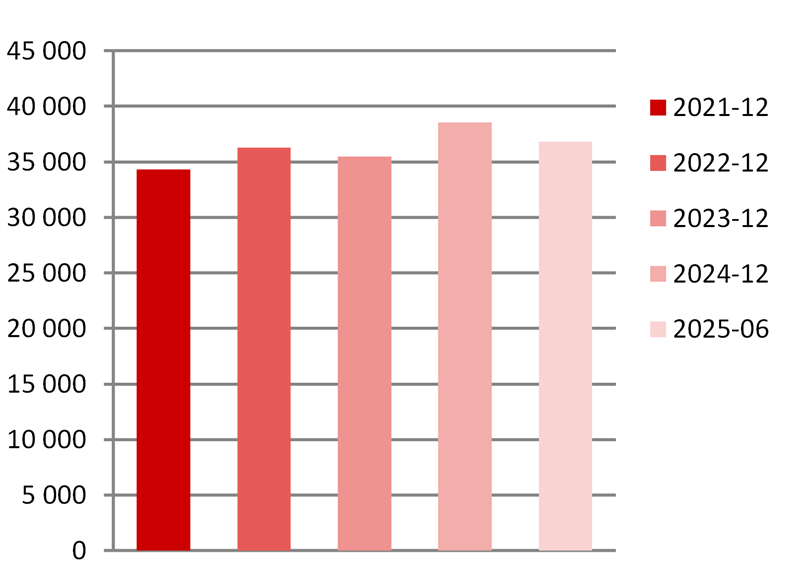 Bild1.png