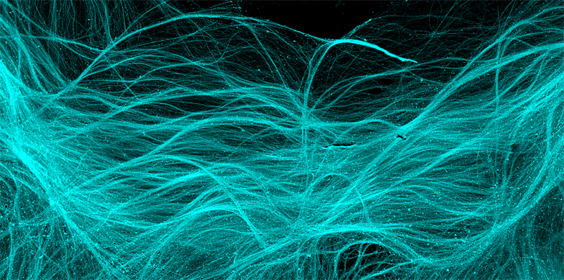 Kirkeby lab, ReNew, Copenhagen.png