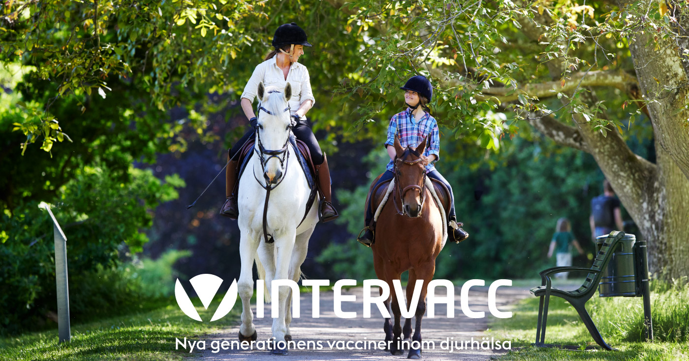 Intervacc exporterar Strangvac till Nya Zeeland efter särskilt importgodkännande