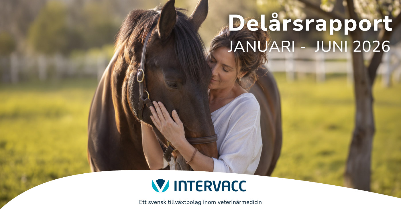 Delårsrapport januari – juni 2026