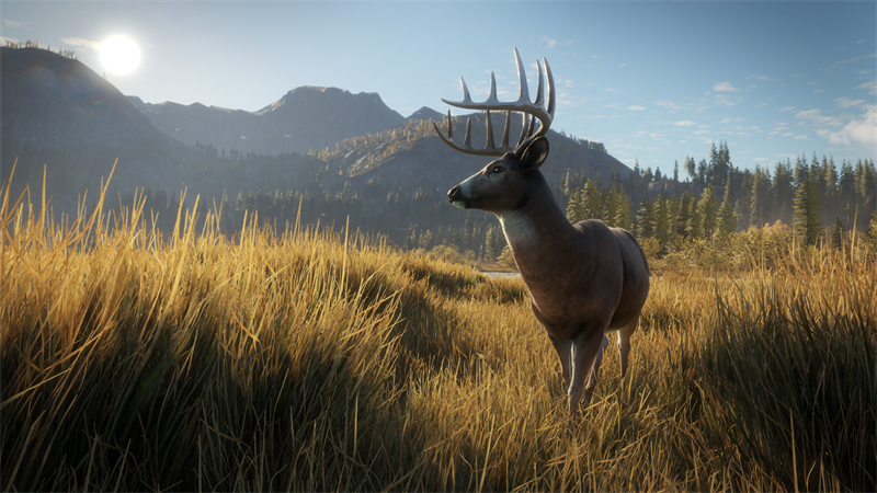 How theHunter: Call of the Wild simulates wild animals